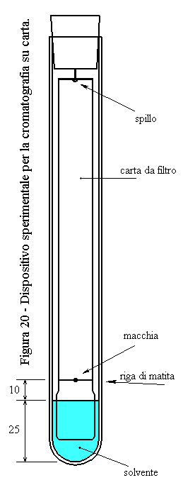 cromatografia su carta