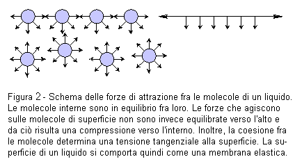 Tensione superficiale