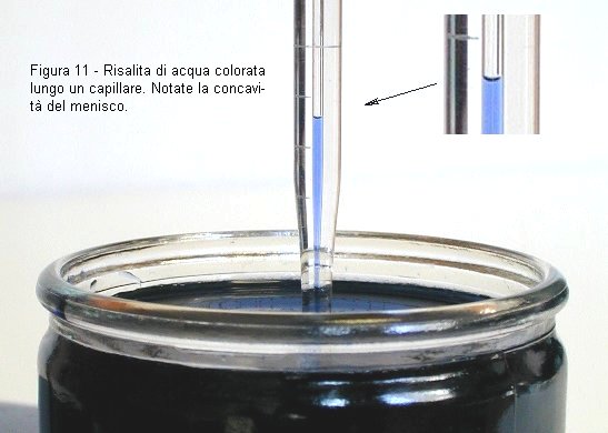 Risalita del liquido in un capillare