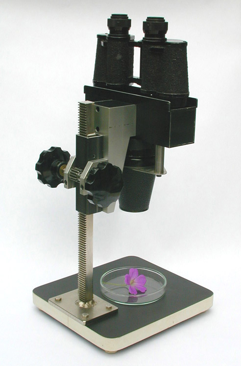 Microscopio stereoscopico