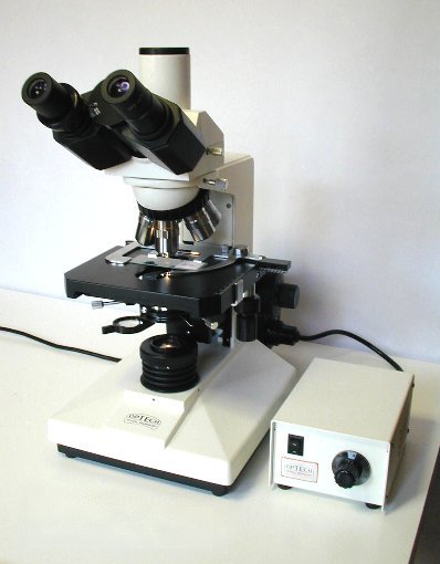 Microscopio composto binoculare